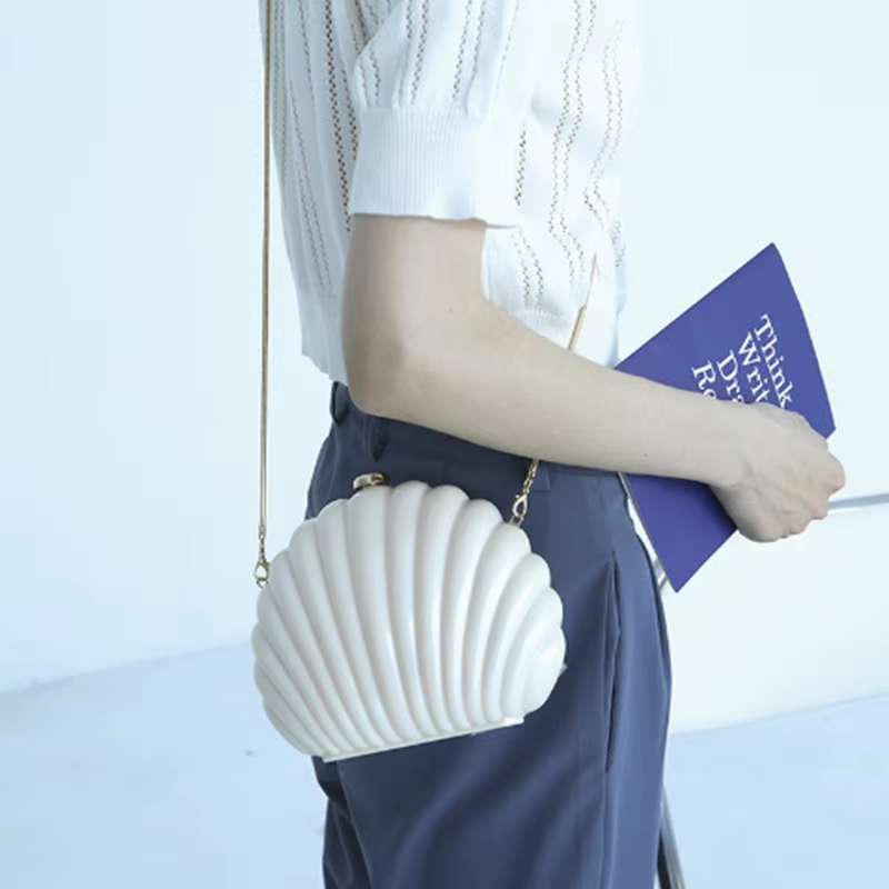 Lady Mini Shell Bag Acrylic Hi - огляд і ціна Luxury Bags Made