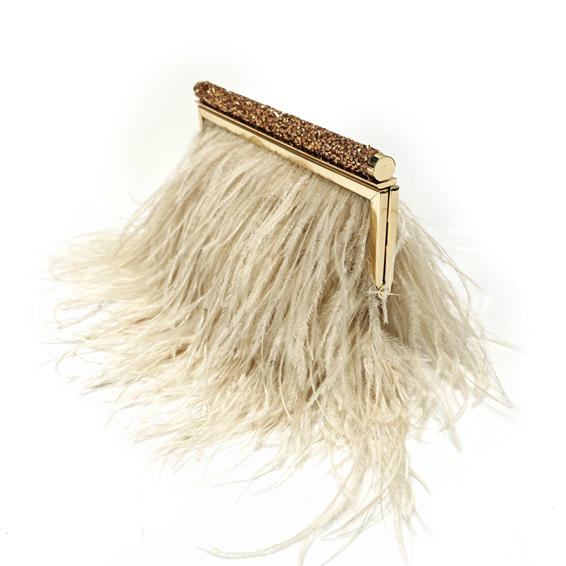 Fashion Clutch Metal frame Eve - огляд і ціна Luxury Bags On Sale